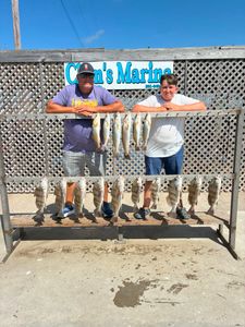 Successful fishing trip displaying black drum and speckled trout catch at marina in Corpus Christi TX