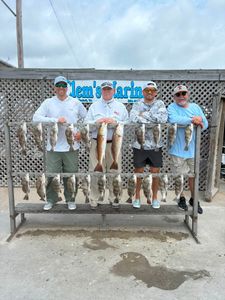 Fishing catch display showing redfish and black drum from Corpus Christi TX charter