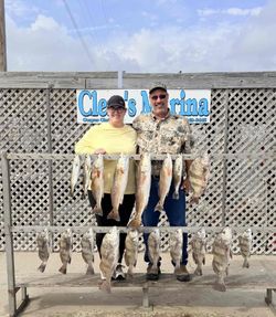 Successful fishing trip in Corpus Christi TX displaying redfish, black drum, and sheepshead catch