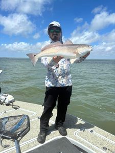 Redfish caught while fishing in Corpus Christi TX waters