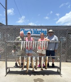 Successful redfish fishing trip at Corpus Christi marina with multiple caught redfish displayed on cleaning station