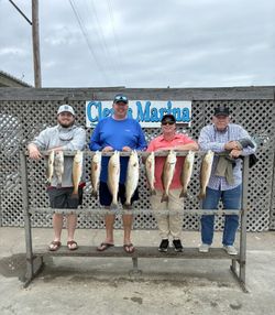 Successful redfish fishing trip in Corpus Christi TX with multiple red drum displayed at marina cleaning station