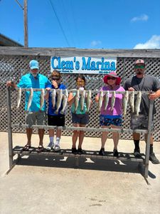 Successful speckled trout and black drum fishing trip at Clem's Marina in Corpus Christi TX with multiple fish displayed on cleaning station