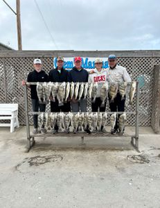 Creating Memories with Corpus Christi Fishing