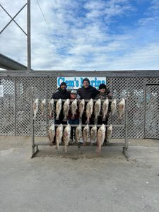 Four people fishing in Corpus Christi