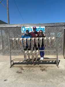 Three people fishing with two medium-sized fish caught in Corpus Christi