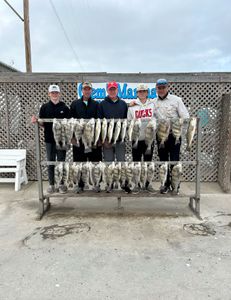 Group of 5 people enjoying fishing in TX