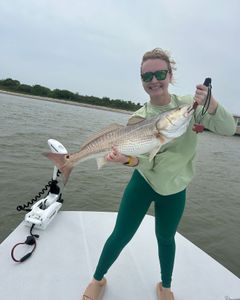Redfish caught while fishing in TX