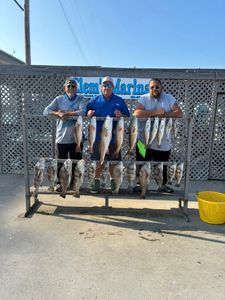 Three redfish caught by three people fishing in Corpus Christi