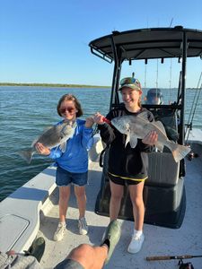 Two black drum fish caught in TX