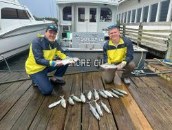 Fresh caught bluefish displayed on wooden dock in Morehead City NC after successful fishing charter