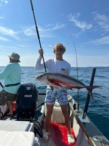 Greater amberjack caught while fishing in Morehead City NC waters