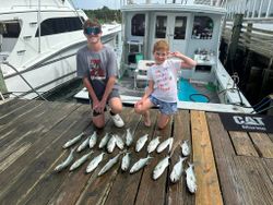 Fresh caught bluefish displayed on wooden dock in Morehead City NC after successful fishing trip