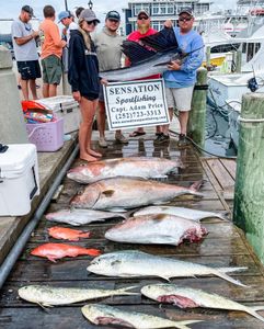 Successful offshore fishing charter displaying catch of greater amberjack, mahi mahi, longfin yellowtail, atlantic sailfish, and vermilion rockfish on dock in Morehead City NC