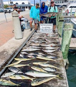 Fishing charter catch display on dock in Morehead City NC showing cobia, mahi mahi, and rainbow runner
