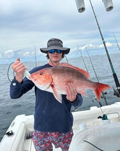 Catch And Release PCB Fishing