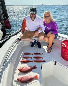 Bay Fishing PCB