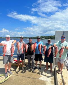 7 Fish Caught While Fishing in FL