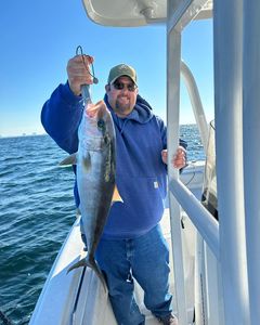 Pcb Fishing Charters