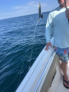 Clear skies and deep sea adventures await in Panama City Beach!
