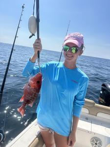 Reeling in the red gold: Deep sea trolling success in Panama City Beach!