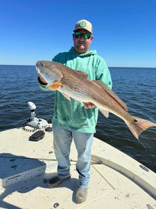 Hooked a big one: redfish ready for the grill!