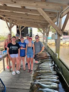Sea trout fun – the bite was on today