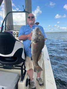 A big black drum fish caught in Panacea, Florida