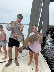 Two Black Drum fish caught in Panacea