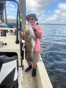 Black Drum fishing in FL