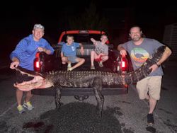 4 people fishing in Florida