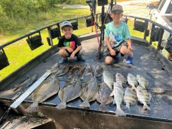 Two anglers with a haul of five Pacific Halibut and Black Drum fish caught in Panacea