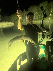 Alligator gar caught during nighttime bowfishing in Panacea FL