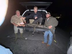 Three people fishing in Panacea