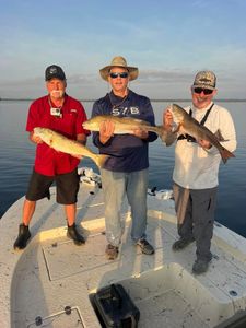 3 redfish caught in FL, fishing and hunting