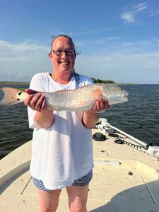 Redfish measuring 24 inches caught while fishing in FL