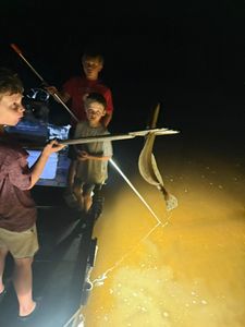 Three people fishing in FL