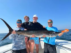 Angler with a majestic Atlantic Sailfish catch in FL
