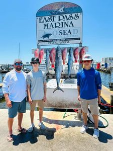 Two King Mackerel fish, 28 inches long, caught while fishing in Florida