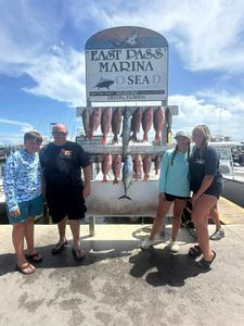 Three little tunny and mutton snapper fish caught while fishing in Destin