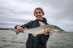 Bonnethead shark caught fishing in Anchorage KY waters