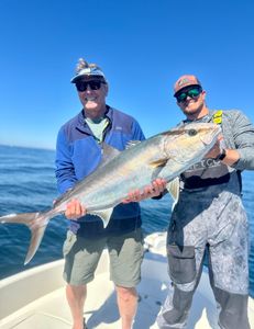 Beautiful day to put some reef donkeys in the boat 