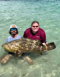 Fish-Species