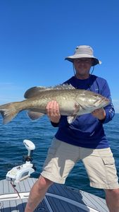 Fish-Species