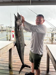 Fish-Species