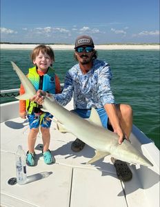 Blacktip shark caught while fishing in Florida