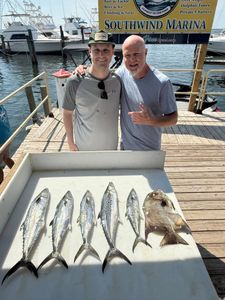 4 king mackerel and little tunny fish caught by two people fishing in Florida