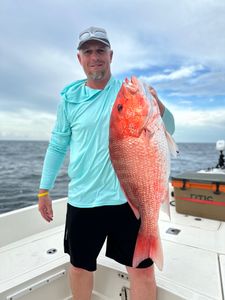 Fish-Species
