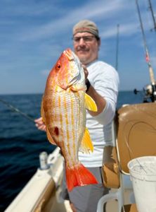 One person fishing in FL