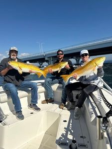 Three people fishing in Pensacola
